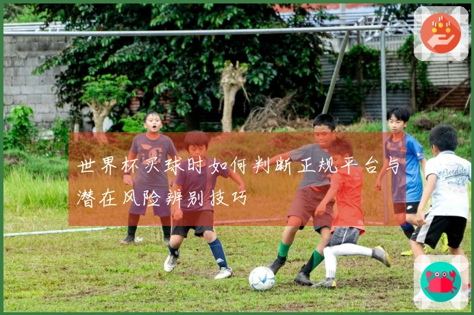 世界杯买球时如何判断正规平台与潜在风险辨别技巧