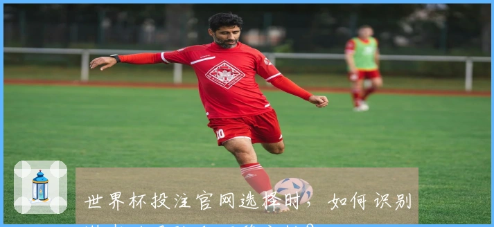 世界杯投注官网选择时，如何识别潜在的风险和不稳定性？