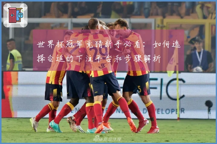 世界杯冠军竞猜新手必看：如何选择合适的下注平台和步骤解析