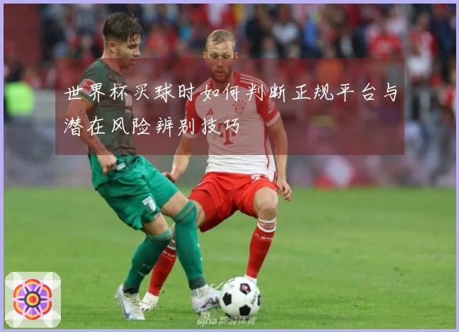 世界杯买球时如何判断正规平台与潜在风险辨别技巧