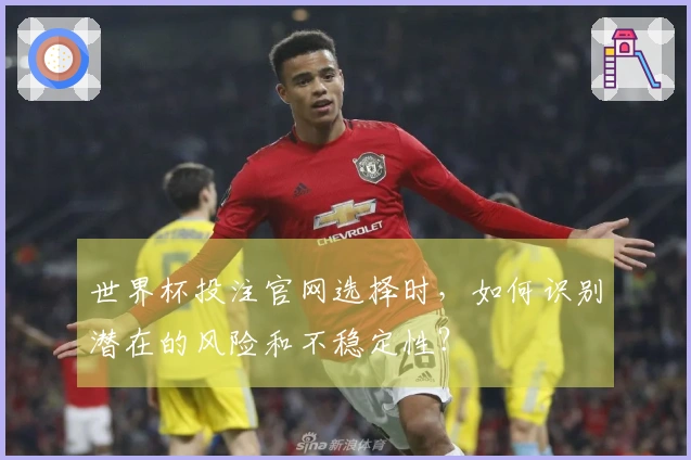 世界杯投注官网选择时，如何识别潜在的风险和不稳定性？
